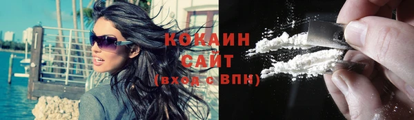 индика Абаза