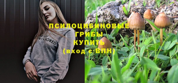 индика Абаза