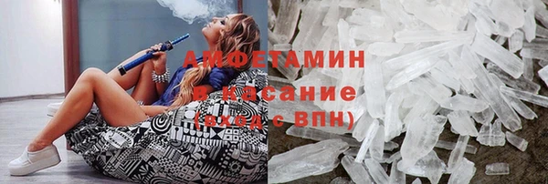 индика Абаза