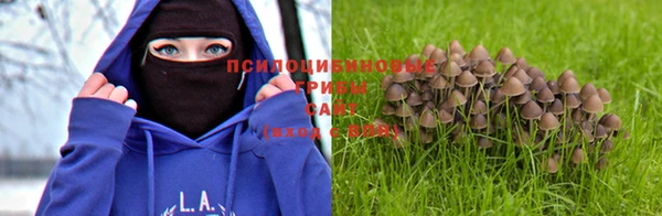 каннабис Алзамай