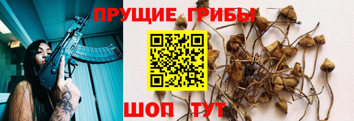 Галлюциногенные грибы Magic Shrooms Саки