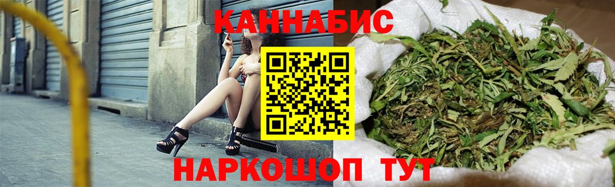 Канабис планчик Саки